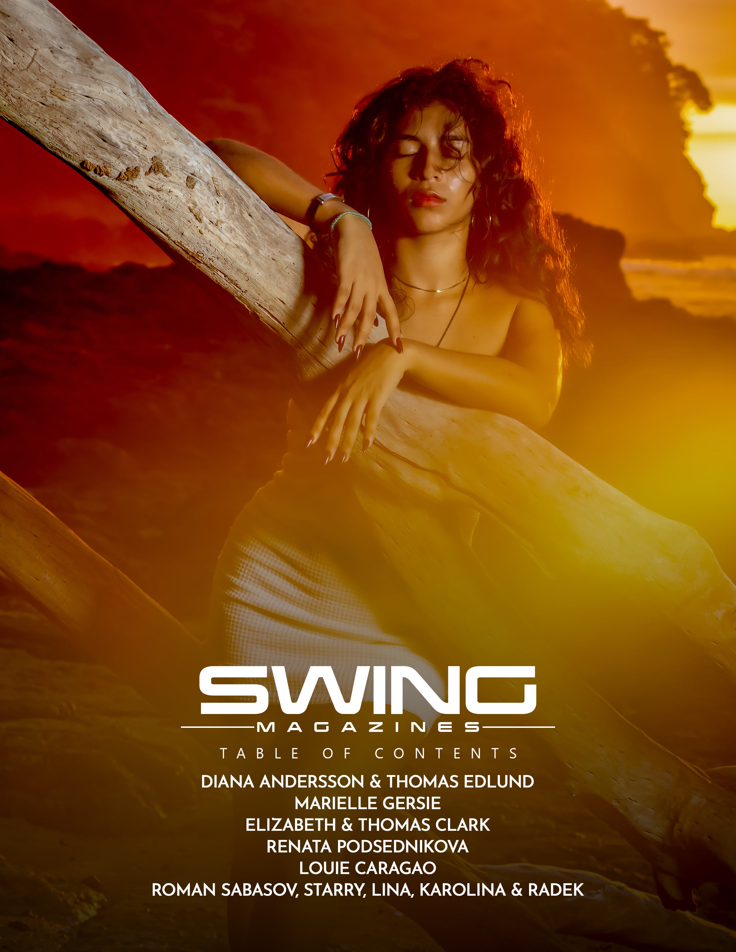 Swing Magazine Vol 333 – Fashion & Beauty Edition (Dec 2024)